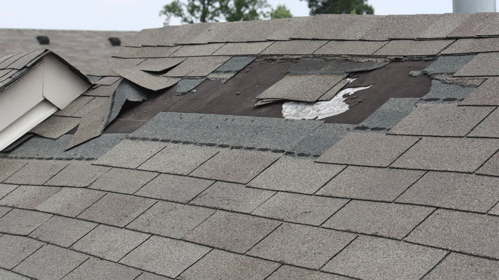 Roof Replacement Services Livonia